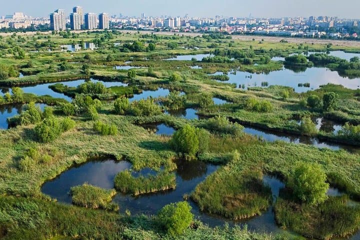 Abandoned Bucharest By Car: Vacaresti Delta, Royal Forts & Forgotten Factories photo 3
