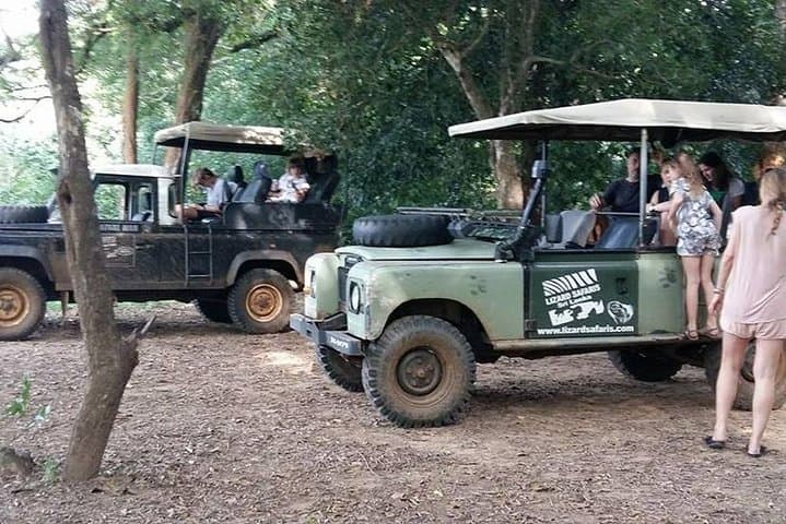 Udawalawe One-Day Safari from Galle: Elephant Encounters & Birding photo 4
