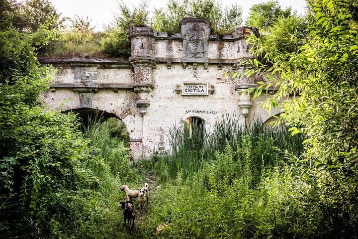 Abandoned Bucharest By Car: Vacaresti Delta, Royal Forts & Forgotten Factories