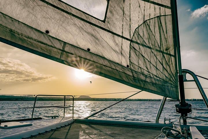 Sun, Snorkel and Paella: OBY Catamaran Cruise to Isla de Lobos from Corralejo