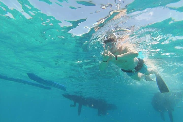Sun, Snorkel and Paella: OBY Catamaran Cruise to Isla de Lobos from Corralejo photo 5