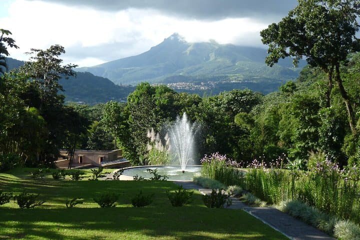 North Martinique Tour: Rainforest Walks, Mont Pelée History, DEPAZ Rum & Black Sand Beaches photo 2