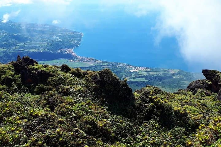 North Martinique Tour: Rainforest Walks, Mont Pelée History, DEPAZ Rum & Black Sand Beaches photo 4