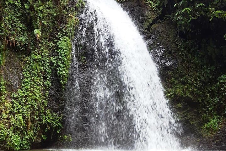 North Martinique Tour: Rainforest Walks, Mont Pelée History, DEPAZ Rum & Black Sand Beaches photo 5