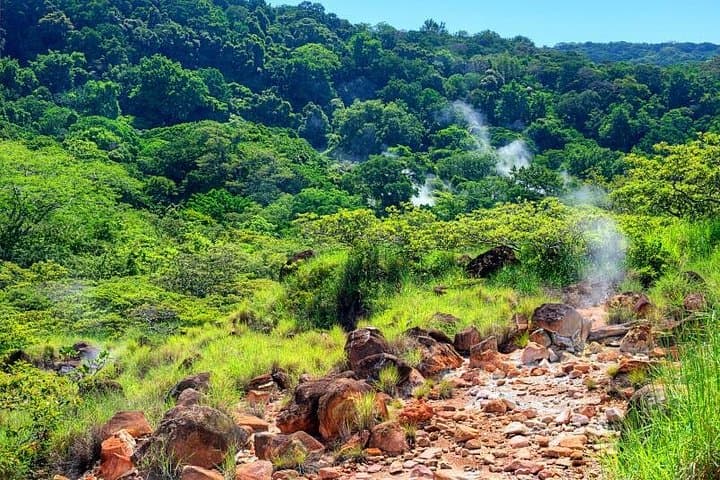 Rincón de la Vieja Volcano Hike, Waterfall Swim & Hot Springs Day Trip photo 2