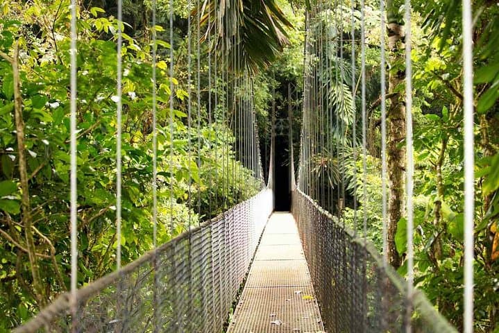 Mistico Arenal Hanging Bridges: Self-Guided Rainforest Walk Near La Fortuna photo 3