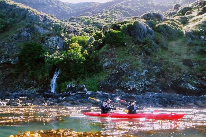 Explore Akaroa by Electric Mountain Bike and Sea Kayak: A Full-Day Guided Adventure photo 2