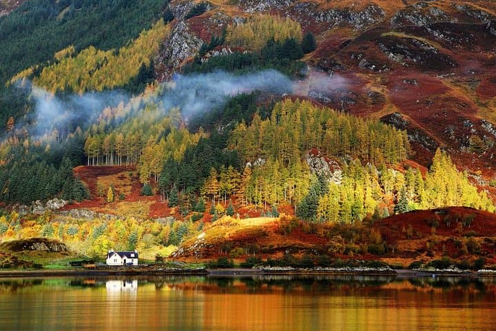 Winter Highlands Private Tour from Inverness: Loch Ness, Castles & Deer