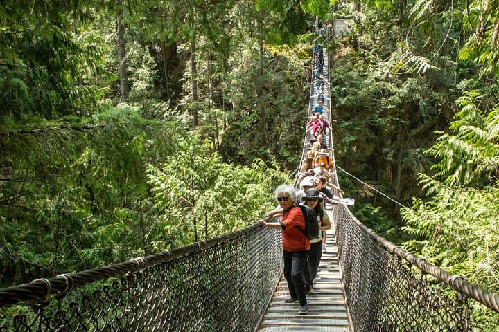 Lynn Canyon Nature Walk: Suspension Bridge & Twin Falls Eco Tour photo 1