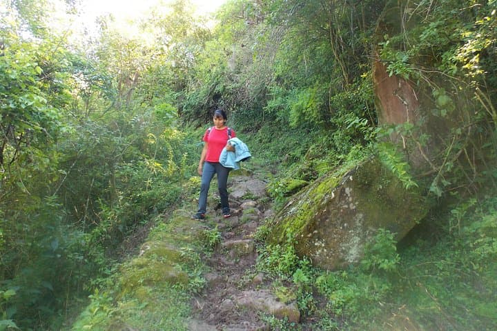 Qhapac Ñan Trek: From Quebrada de Humahuaca to the Yungas Jungle (4-Day Journey) photo 4