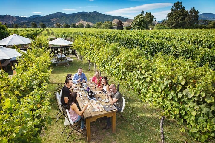 Cloudy Bay Gourmet Gold Wine Tour: Marlborough Tasting & Gourmet Lunch