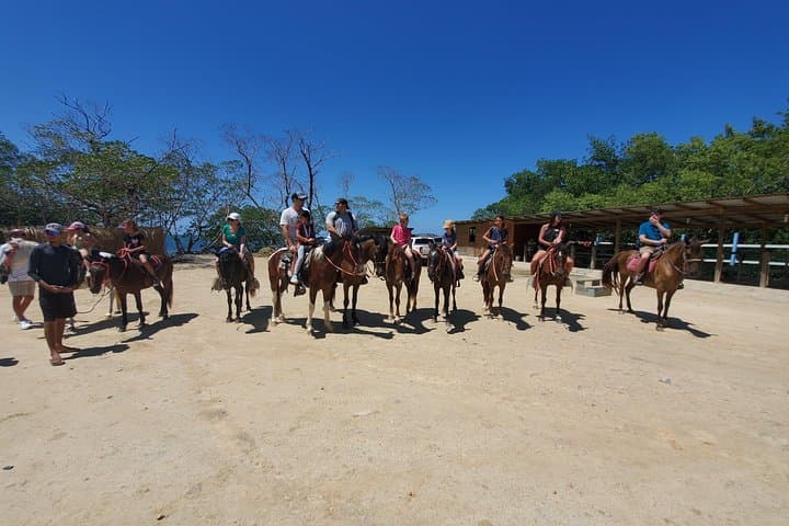 Roatán Horseback Ride, Sloth Park & Beach Break — Bay Island Day Trip