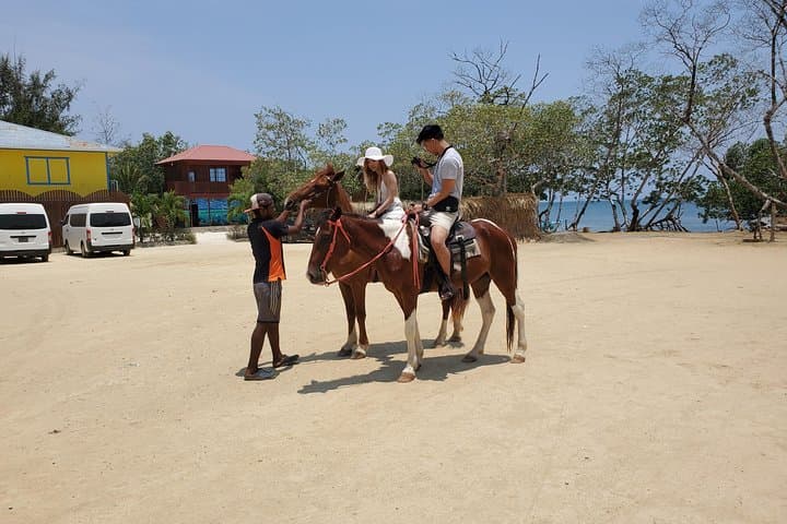 Roatán Horseback Ride, Sloth Park & Beach Break — Bay Island Day Trip photo 2