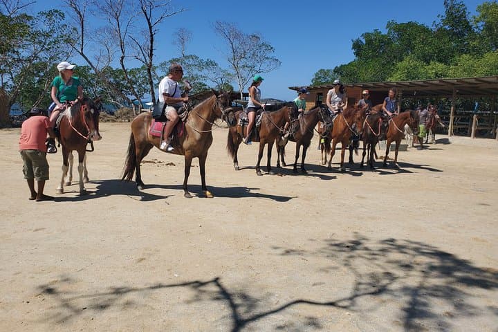 Roatán Horseback Ride, Sloth Park & Beach Break — Bay Island Day Trip photo 3