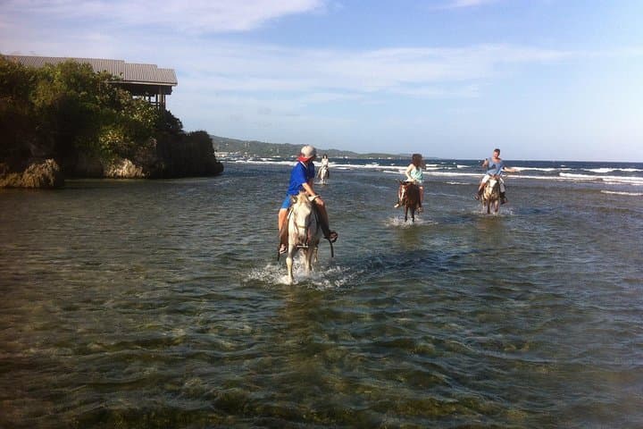 Roatán Horseback Ride, Sloth Park & Beach Break — Bay Island Day Trip photo 4