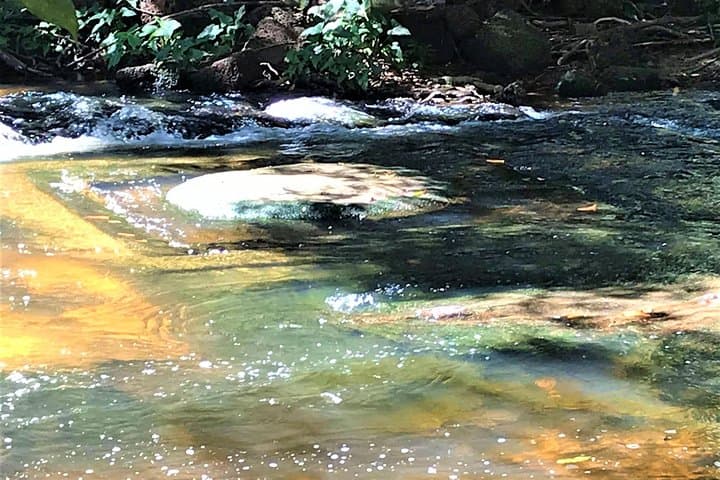 Phnom Kulen Waterfall & 1000 Shiva Lingas Day Trek from Siem Reap photo 6