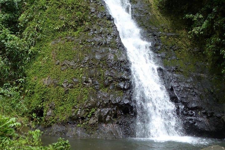 Full-Day Tahiti Island & Peninsula Tour: Waterfalls, Black Sand Beaches & Caves photo 4