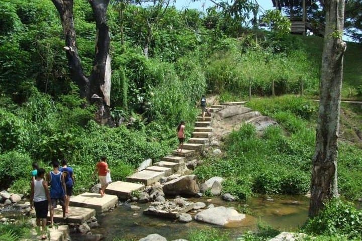 Sabeto Waterfall Tour from Nadi — Hot Springs, Jungle Walk & Local Guide photo 3