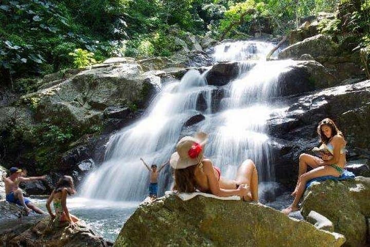 Sabeto Waterfall Tour from Nadi — Hot Springs, Jungle Walk & Local Guide photo 6