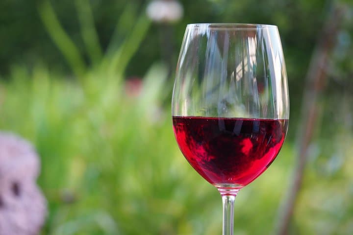 Private Amador County Wine Tasting Tour: 6–8 Hour Custom Wine Country Experience photo 6