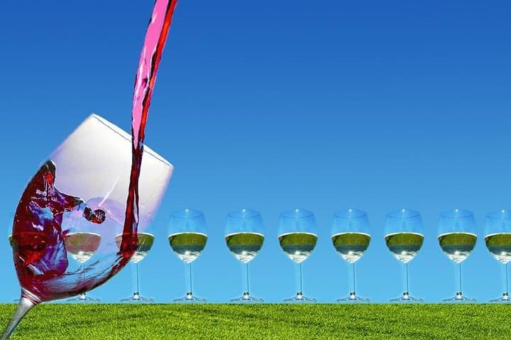 Private Amador County Wine Tasting Tour: 6–8 Hour Custom Wine Country Experience photo 2