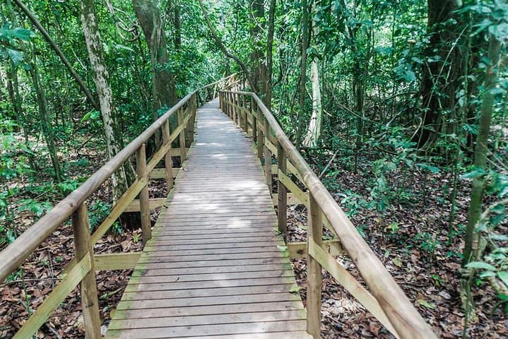 Off-the-Beaten-Path: Manuel Antonio National Park Day Trip from Quepos photo 6