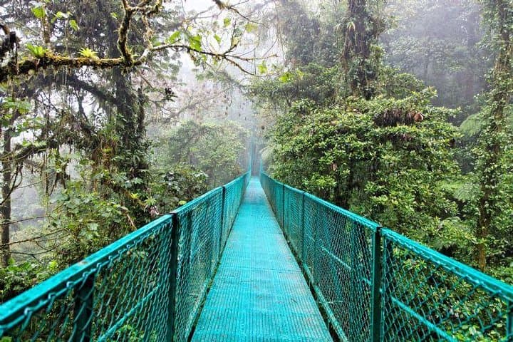 Luxury Day Trip to Monteverde Cloud Forest from San José — Private, Customizable Adventure photo 4