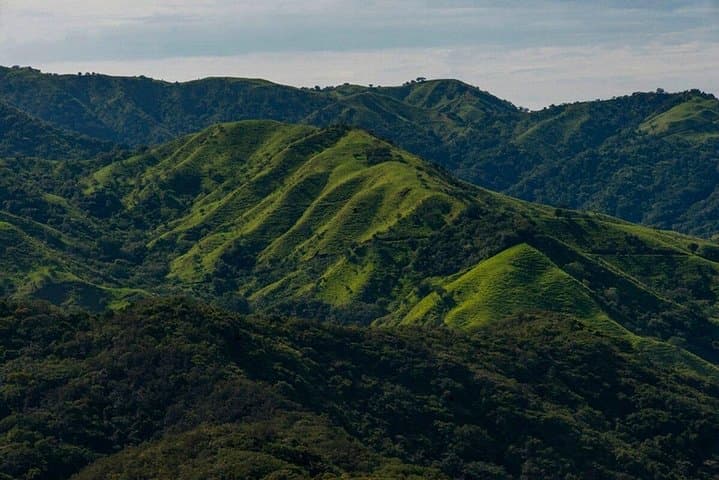 Luxury Day Trip to Monteverde Cloud Forest from San José — Private, Customizable Adventure photo 5