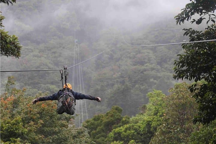Luxury Day Trip to Monteverde Cloud Forest from San José — Private, Customizable Adventure photo 6