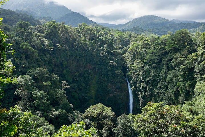 Luxury Day Trip to Monteverde Cloud Forest from San José — Private, Customizable Adventure