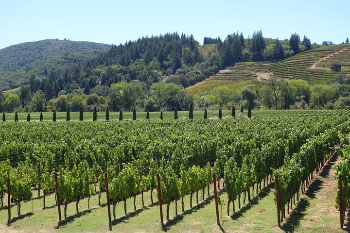 Custom 10-Hour Napa Valley Private Wine-Tasting Tour