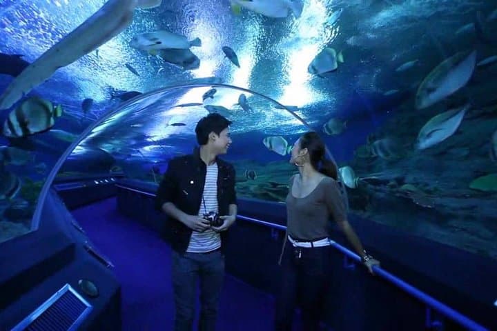 Pattaya Underwater World: Aquarium Admission with Return Transfer photo 4