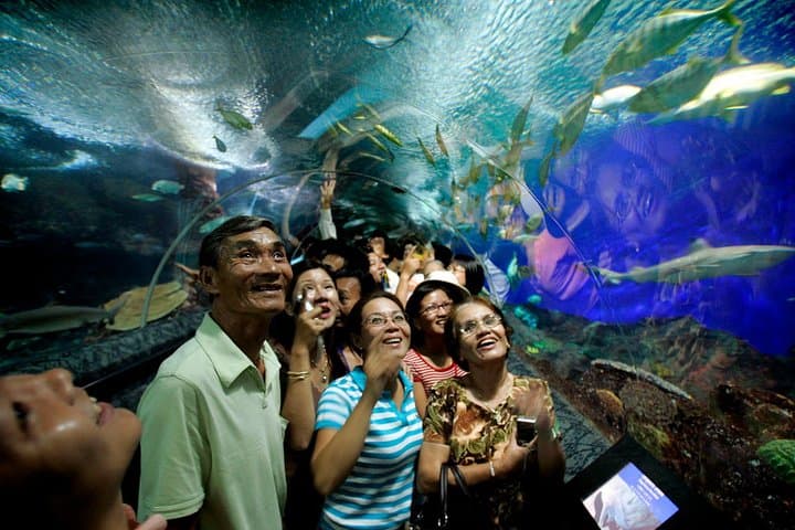 Pattaya Underwater World: Aquarium Admission with Return Transfer photo 2