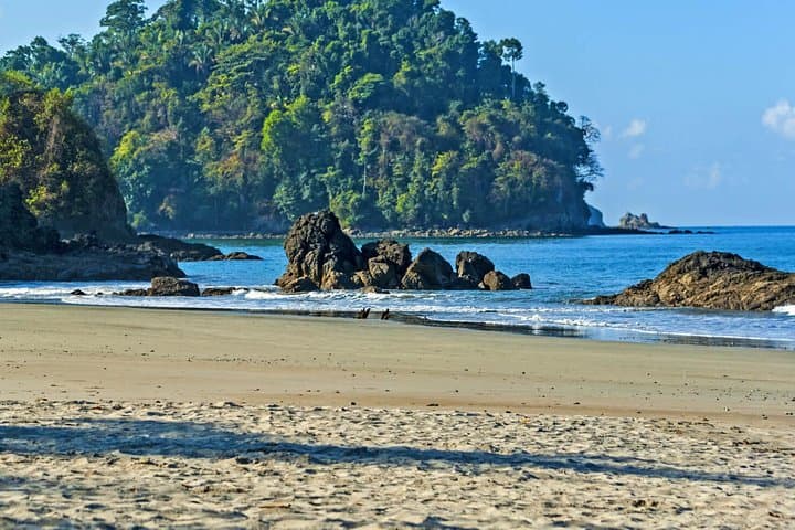 Off-the-Beaten-Path: Manuel Antonio National Park Day Trip from Quepos photo 3