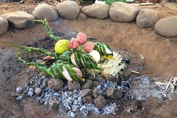 Biausevu Waterfall Tour: Coral Coast Hike, Swim & Village Kava Experience photo 3