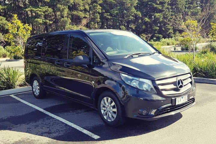 Private 12 Apostles Shore Excursion & Custom Melbourne Highlights Tour photo 5