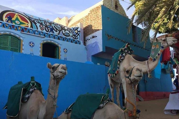 Nubian Village Tour on Soheil Island: Aswan Felucca Day Trip photo 3