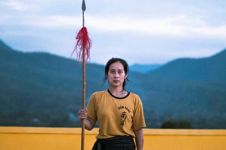 Shaolin Kung Fu & Qigong: 1-Day Intro in Northern Thailand photo 6