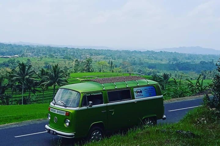 Cruise Ubud in a Classic VW Bus: Private Tour to Waterfalls and Rice Terraces