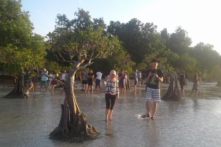 Sumba Adventure: 5-Day Cultural, Waterfall & Beach Trek Across Sumba photo 4
