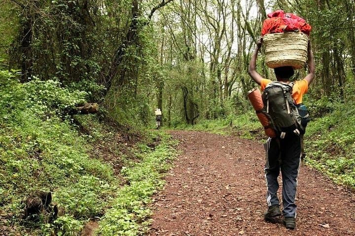 6-Day Kilimanjaro Shira Route: High-Start Trek to Uhuru Peak photo 1