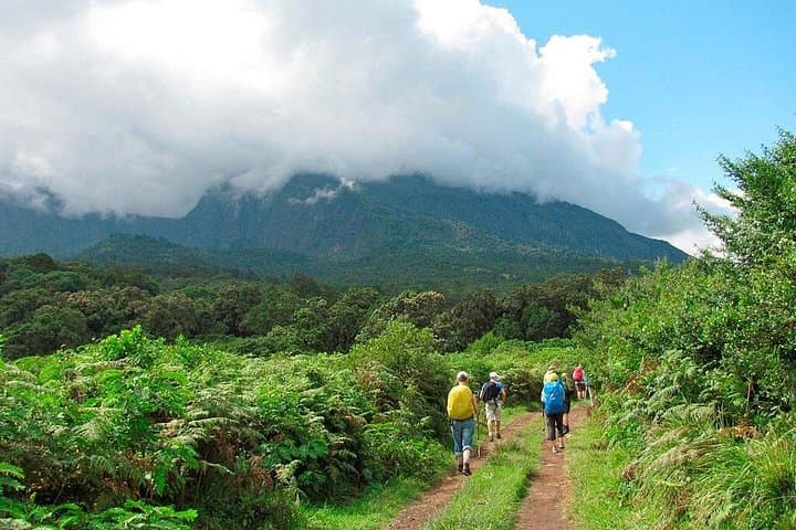 6-Day Kilimanjaro Shira Route: High-Start Trek to Uhuru Peak photo 3