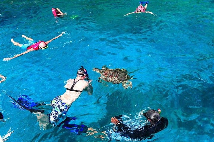Similan Islands One-Day Tour from Khao Lak: Snorkel Pristine Reefs by Speed Catamaran photo 4