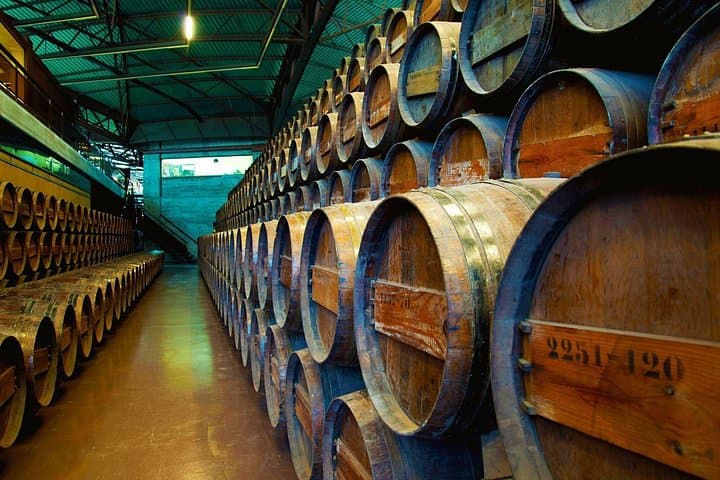 Arrábida National Park & Bacalhôa Wine Tasting: Full-Day Private Tour from Lisbon photo 3