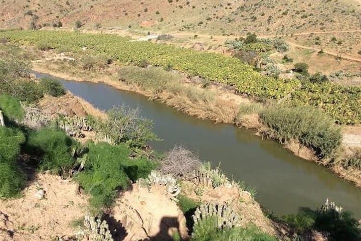 Massa Valley Berber Day Tour: Agadir to Souss‑Massa Park & Tiznit Silver Souk photo 3