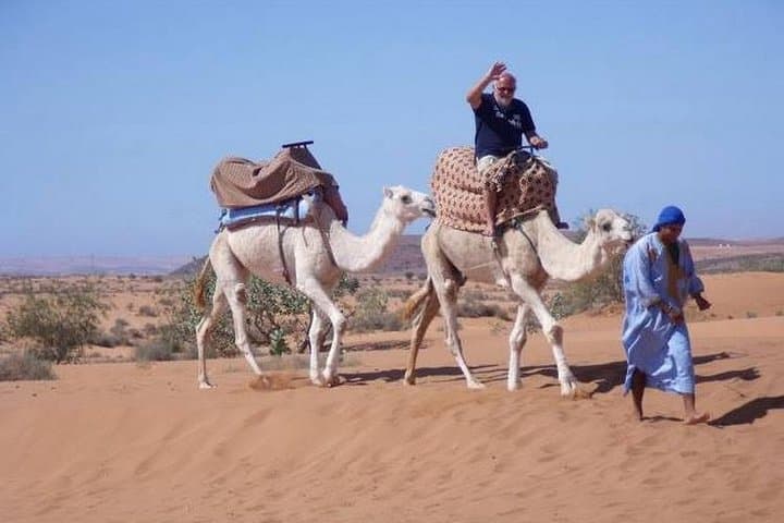 Massa Valley Berber Day Tour: Agadir to Souss‑Massa Park & Tiznit Silver Souk photo 2