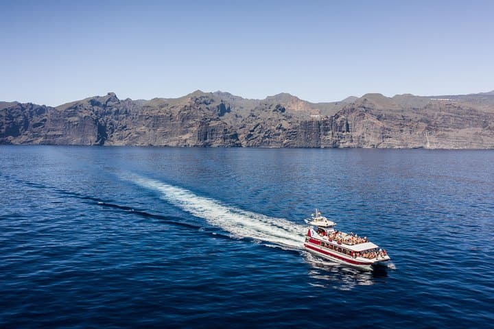 Royal Delfin Catamaran Whale & Dolphin Watching from Puerto Colón — Lunch and Swim at Masca Bay