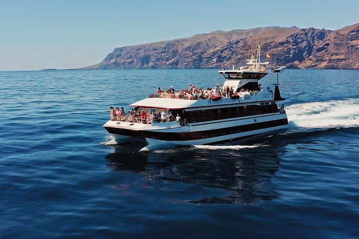 Royal Delfin Catamaran Whale & Dolphin Watching from Puerto Colón — Lunch and Swim at Masca Bay photo 5