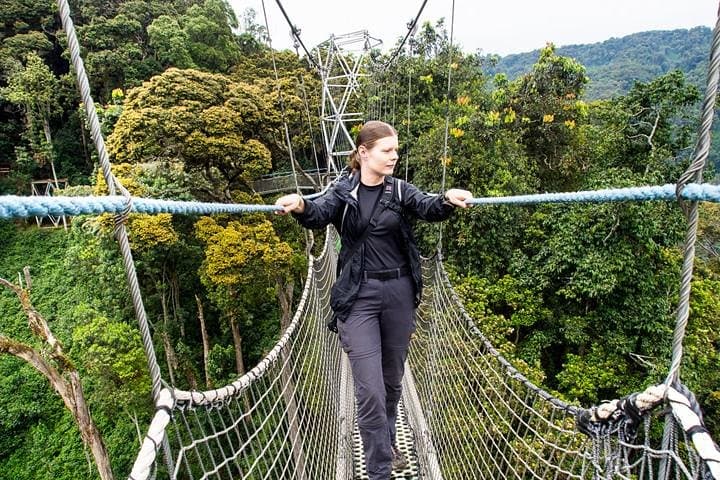 Nyungwe Canopy Walk and Chimpanzee Trekking: 2-Day Rainforest Adventure