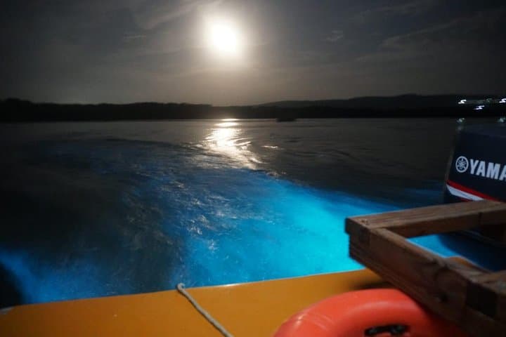 Night Swim at Jamaica's Luminous Lagoon — Falmouth Glistening Waters Tour photo 6